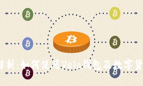 2023年全面解析:如何使用Velo钱包及数字货币的投资策略