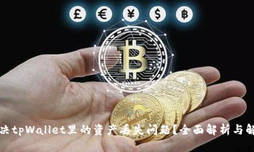 如何解决tpWallet里的资产丢失问题？全面解析与解决方案