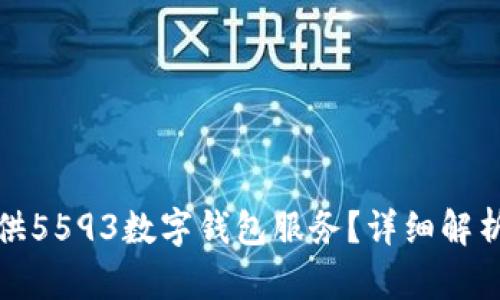 哪个银行提供5593数字钱包服务?详细解析与选择指南
