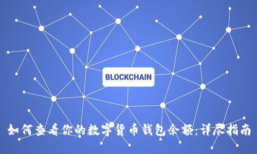 如何查看你的数字货币钱包余额:详尽指南