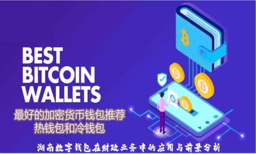 湖南数字钱包在财政业务中的应用与前景分析
