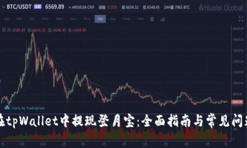 如何在tpWallet中提现登月宝:全面指南与常见问题解析