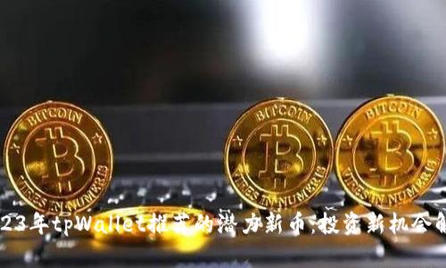 2023年tpWallet推荐的潜力新币:投资新机会解析