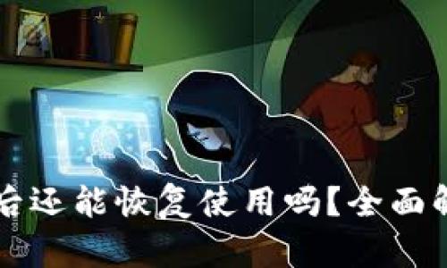 tpWallet被盗后还能恢复使用吗?全面解析与解决方案