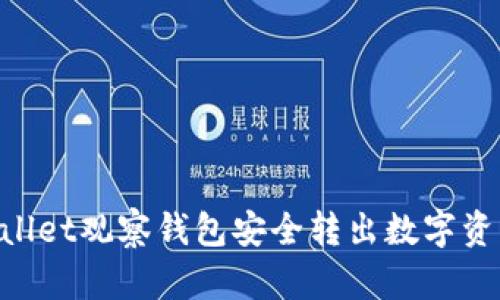 如何从TPWallet观察钱包安全转出数字资产:详细指南