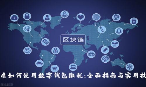 优质如何使用数字钱包缴税:全面指南与实用技巧