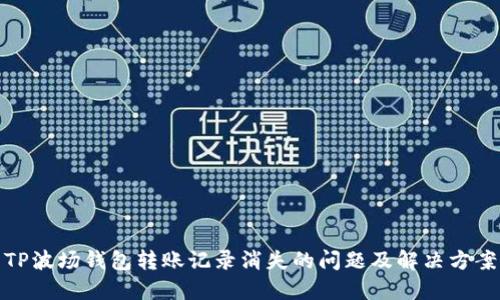 TP波场钱包转账记录消失的问题及解决方案