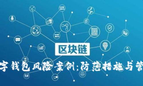 对公数字钱包风险案例：防范措施与管理策略