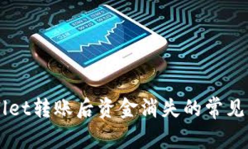 解决tpWallet转账后资金消失的常见问题及对策