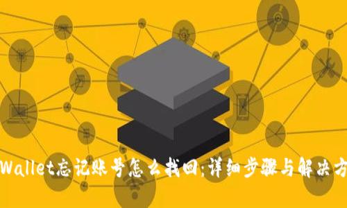 tpWallet忘记账号怎么找回:详细步骤与解决方案