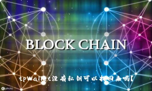 tpWallet没有私钥可以找回来吗？