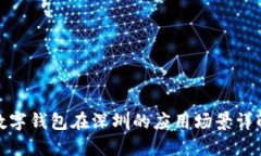 数字钱包在深圳的应用场景详解
