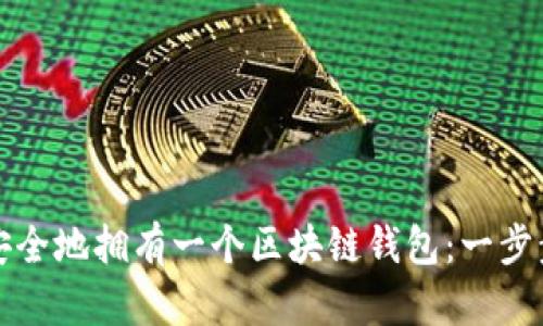 如何安全地拥有一个区块链钱包:一步步指南