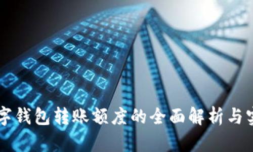 公户数字钱包转账额度的全面解析与实用指南