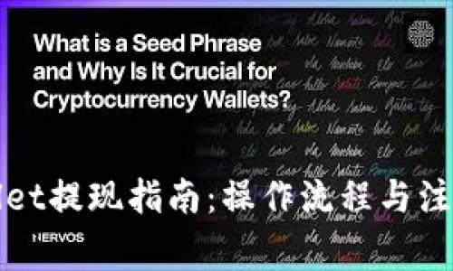 tpWallet提现指南:操作流程与注意事项