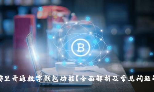 在哪里开通数字钱包功能?全面解析及常见问题解答