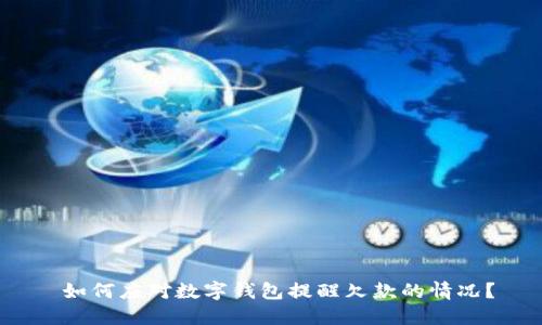 如何应对数字钱包提醒欠款的情况?