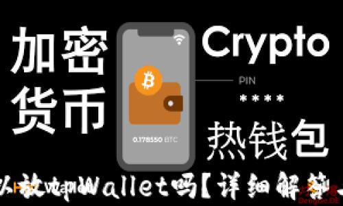 瑞波币可以放tpWallet吗?详细解答与使用指南