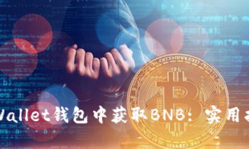 如何在tpWallet钱包中获取BNB: 实用指南与技巧