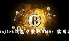 如何在tpWallet钱包中获取BNB: 实用指南与技巧