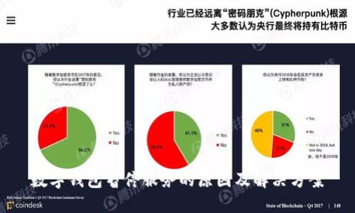 数字钱包暂停服务的原因及解决方案
