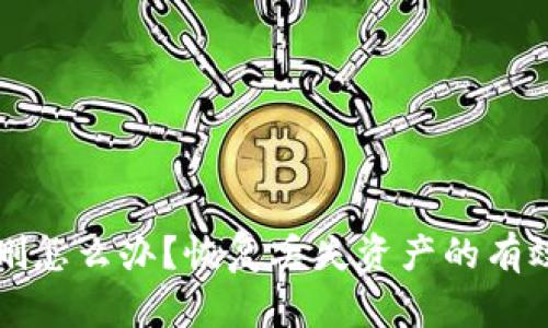 tpWallet误删怎么办？恢复丢失资产的有效方法与技巧