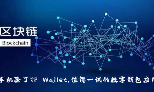 苹果手机除了TP Wallet,值得一试的数字钱包应用推荐