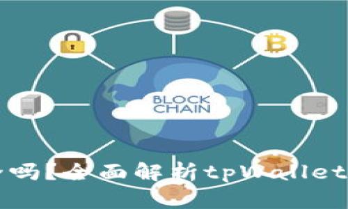 tpWallet下载安全吗?全面解析tpWallet的安全性与可靠性