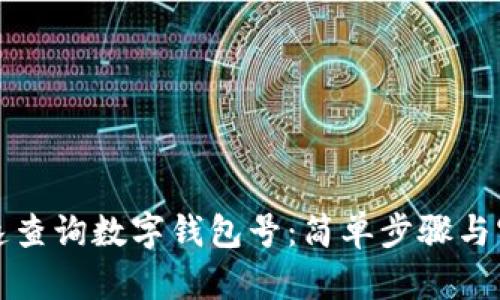 如何快速查询数字钱包号:简单步骤与实用技巧