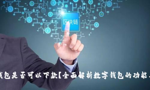 数字钱包是否可以下款?全面解析数字钱包的功能与应用