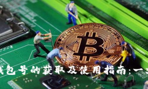 数字钱包号的获取及使用指南:一文详解
