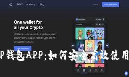 详解数字货币DCEP钱包APP:如何安全高效使用中国央行数字货币