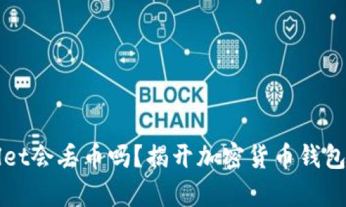 tpWallet会丢币吗?揭开加密货币钱包的真相