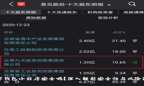 数字钱包小程序安全吗?深入解析安全性与风险防范