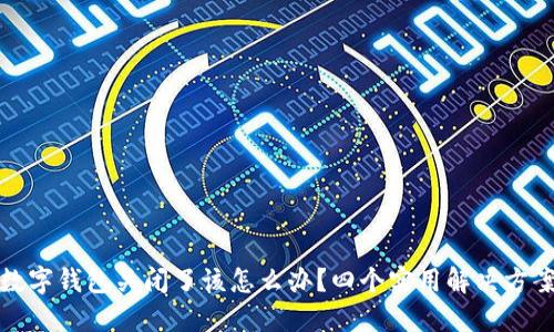 数字钱包关闭了该怎么办?四个实用解决方案