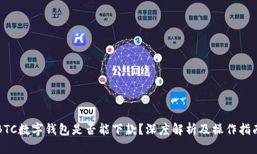 BTC数字钱包是否能下款？深度解析及操作指南