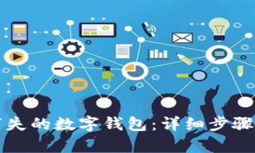 如何找回消失的数字钱包：详细步骤与有效方法