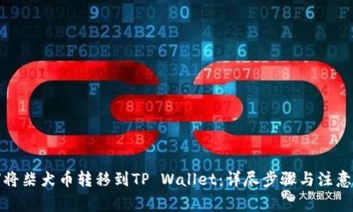 如何将柴犬币转移到TP Wallet：详尽步骤与注意事项
