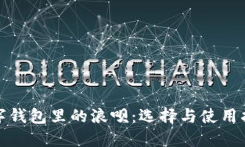 数字钱包里的浪呗：选择与使用指南