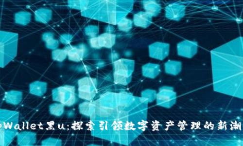 tpWallet黑u：探索引领数字资产管理的新潮流