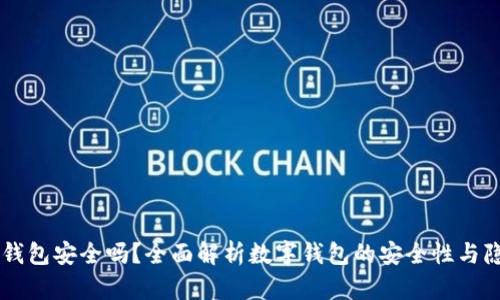 OK数字钱包安全吗？全面解析数字钱包的安全性与隐私保护