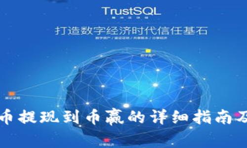 tpWallet币提现到币赢的详细指南及注意事项