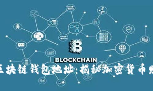 最有钱的区块链钱包地址：揭秘加密货币财富的高地