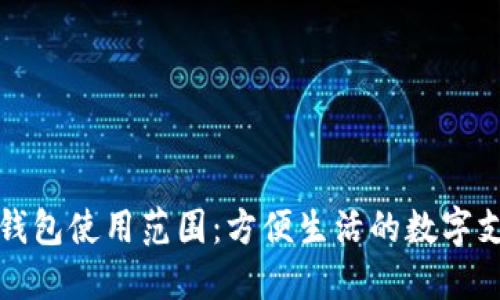 深圳数字钱包使用范围：方便生活的数字支付新时代