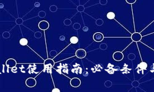 国内tpWallet使用指南：必备条件与注意事项