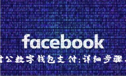 如何开通对公数字钱包支付：详细步骤与注意事项