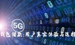 数字钱包借款：用户真实体验与选择指南