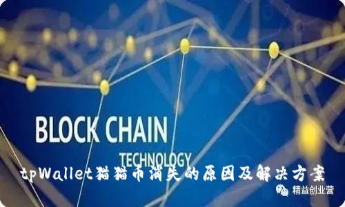 tpWallet猫猫币消失的原因及解决方案