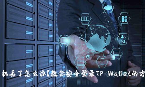 手机丢了怎么办？教你安全登录TP Wallet的方法