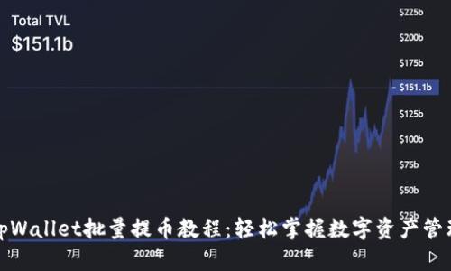 tpWallet批量提币教程：轻松掌握数字资产管理